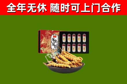 潼关回收冬虫夏草价格