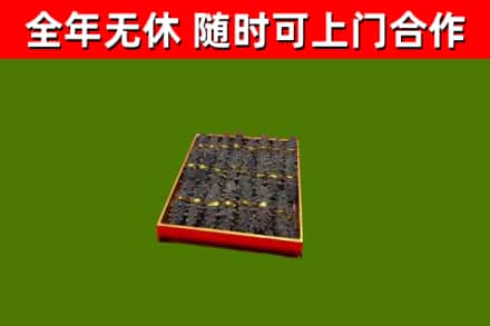 潼关回收海参